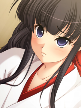 (18禁ゲームCG) [090807] [黒雛] 姉妹巫女～恥辱の緊縛卍責め～_032_bg529