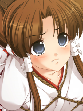 (18禁ゲームCG) [090807] [黒雛] 姉妹巫女～恥辱の緊縛卍責め～_094_bg591