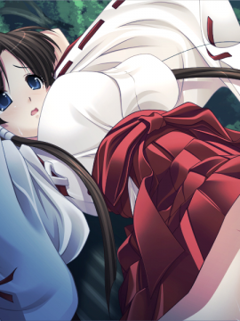 (18禁ゲームCG) [090807] [黒雛] 姉妹巫女～恥辱の緊縛卍責め～_153_bg650