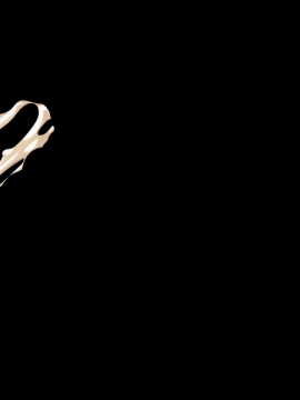 [Hadashi Shoujo] Shiawase na Ohimesama ~Engage wa Kodzukuri no Tame ni~_S11B05