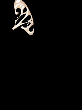 [Hadashi Shoujo] Shiawase na Ohimesama ~Engage wa Kodzukuri no Tame ni~_S11B06