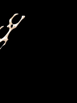 [Hadashi Shoujo] Shiawase na Ohimesama ~Engage wa Kodzukuri no Tame ni~_S11B08