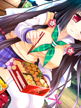 [Lass Lunatic] Midare Setsugetsuka ~Tsukiyo no Inbu, Kyouki no Chigiri~_evb_06_03