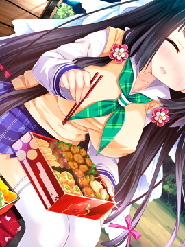 [Lass Lunatic] Midare Setsugetsuka ~Tsukiyo no Inbu, Kyouki no Chigiri~_evb_06_04