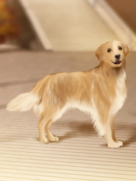 [Campus] 忘却執事と恋するお嬢様の回想録（メモワール）_166_dog