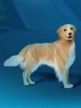 [Campus] 忘却執事と恋するお嬢様の回想録（メモワール）_167_dog2