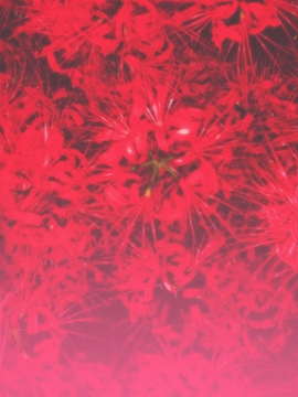 (ゲームCG) [200529] [ωstar] 美少女万華鏡 -理と迷宮の少女-_hc_うずくまる狐3