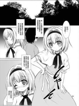 [瑞树汉化组] [秋の夜長に宵闇に (長月莉緒)] Manupilate puppet (東方Project)_02