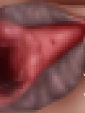 下宿先のビラまん母とスジまん娘との性生活_a085