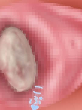 下宿先のビラまん母とスジまん娘との性生活_a147