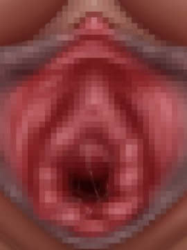 下宿先のビラまん母とスジまん娘との性生活_b058