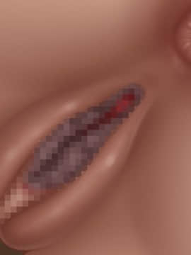 下宿先のビラまん母とスジまん娘との性生活_b166