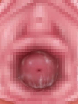 下宿先のビラまん母とスジまん娘との性生活_b211