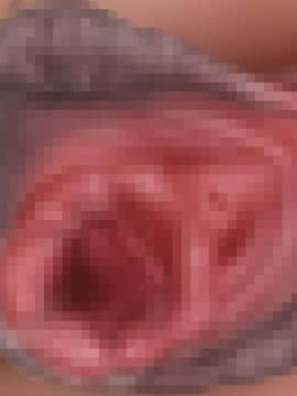 下宿先のビラまん母とスジまん娘との性生活_b246