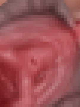 下宿先のビラまん母とスジまん娘との性生活_b248