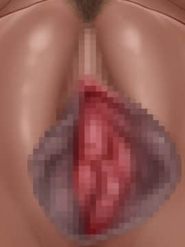 下宿先のビラまん母とスジまん娘との性生活_c053