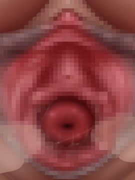 下宿先のビラまん母とスジまん娘との性生活_c060