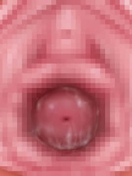 下宿先のビラまん母とスジまん娘との性生活_c211