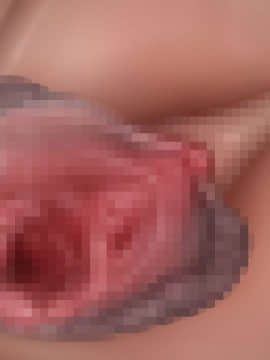 下宿先のビラまん母とスジまん娘との性生活_c245