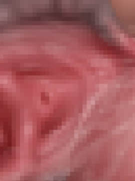 下宿先のビラまん母とスジまん娘との性生活_c252