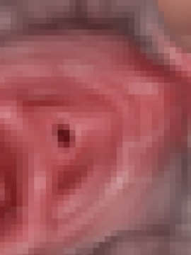 下宿先のビラまん母とスジまん娘との性生活_c253