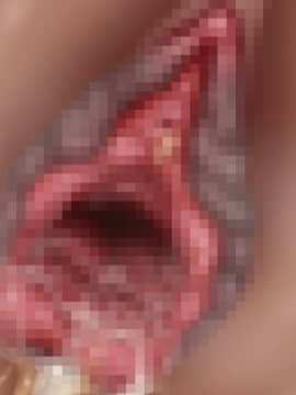 下宿先のビラまん母とスジまん娘との性生活_c304