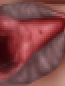 下宿先のビラまん母とスジまん娘との性生活_d085