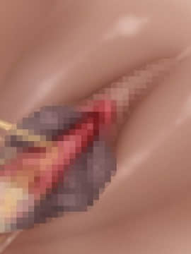 下宿先のビラまん母とスジまん娘との性生活_d091