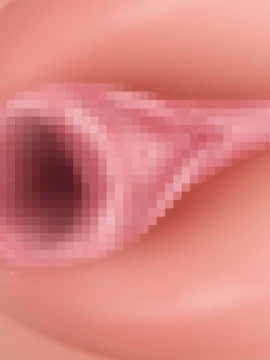 下宿先のビラまん母とスジまん娘との性生活_d146