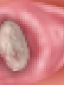 下宿先のビラまん母とスジまん娘との性生活_d147