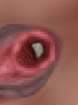 下宿先のビラまん母とスジまん娘との性生活_d185