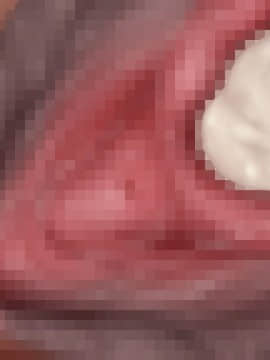 下宿先のビラまん母とスジまん娘との性生活_d186