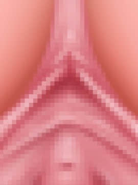 下宿先のビラまん母とスジまん娘との性生活_d207