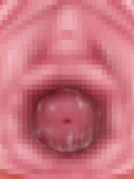 下宿先のビラまん母とスジまん娘との性生活_d212