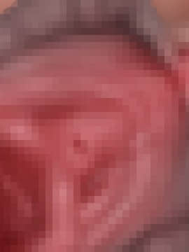 下宿先のビラまん母とスジまん娘との性生活_d248