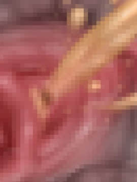 下宿先のビラまん母とスジまん娘との性生活_d254