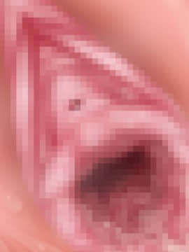 下宿先のビラまん母とスジまん娘との性生活_d315