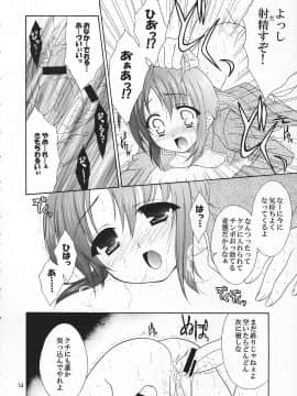 (C69) [空色まーち (成沢空)] ただいまおしおきちゅう (テイルズオブリバース)_pg14