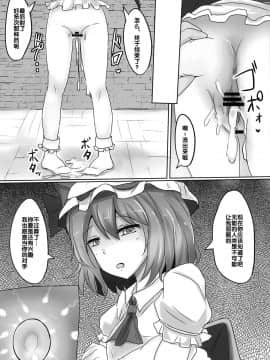 [后悔的神官个人汉化] (C84) [白銀木犀 (ぽし)] 無知シチュアソート (東方Project)_13