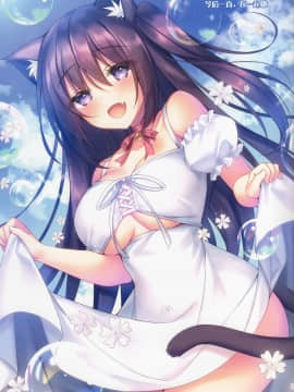 [绅士仓库汉化] [Tears39 (空維深夜)] 少女になったネコとあんあんするだけのほん_12