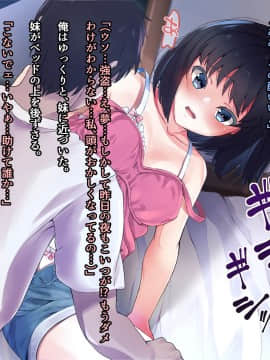 (同人CG集) [うに庵 (うに18)] 生意気な妹を親に代わって躾け(催淫)してやった!_293_0_106