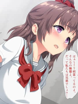 (同人CG集) [北極ホタル] 強制セックス許可証を得た僕が姉を犯しまくるなんて!_1_b_01