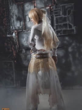 [Disharmonica] Saber_Vandych_saber07