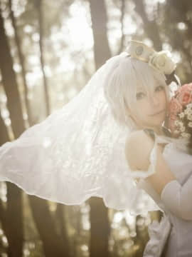 Coser QingQing (青青子w) [bcy.net 3768] (2017-02-04)_276：0276
