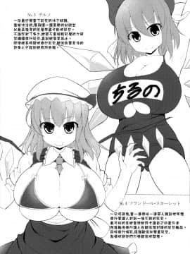 [Kokodone个人汉化] (C90) [しろいファミコン (ふぁこみん)] 搾園の巫女 (東方Project)_19