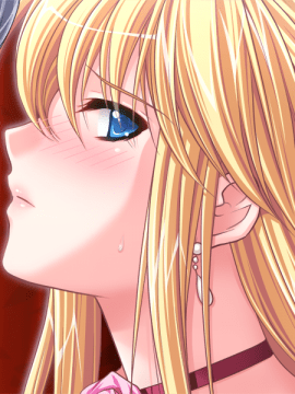 [catwalk] 娼姫レティシア ～今宵、王女は春を売る～_011