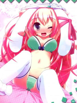 [脸肿汉化组] (C81) [tp! (広瀬まどか)] usamimix!!!_05