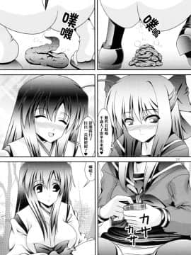 [臭鼬娘漢化組] (C85) [給食泥棒 (叢雲)] RESUMPTION 3_15