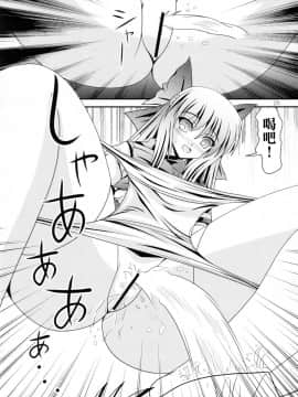 [臭鼬娘漢化組] (C84) [給食泥棒 (叢雲)] RESUMPTION 2_19