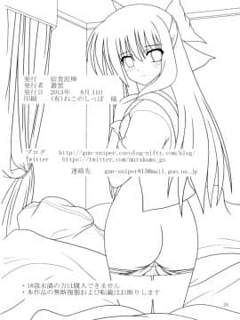 [臭鼬娘漢化組] (C84) [給食泥棒 (叢雲)] RESUMPTION 2_25